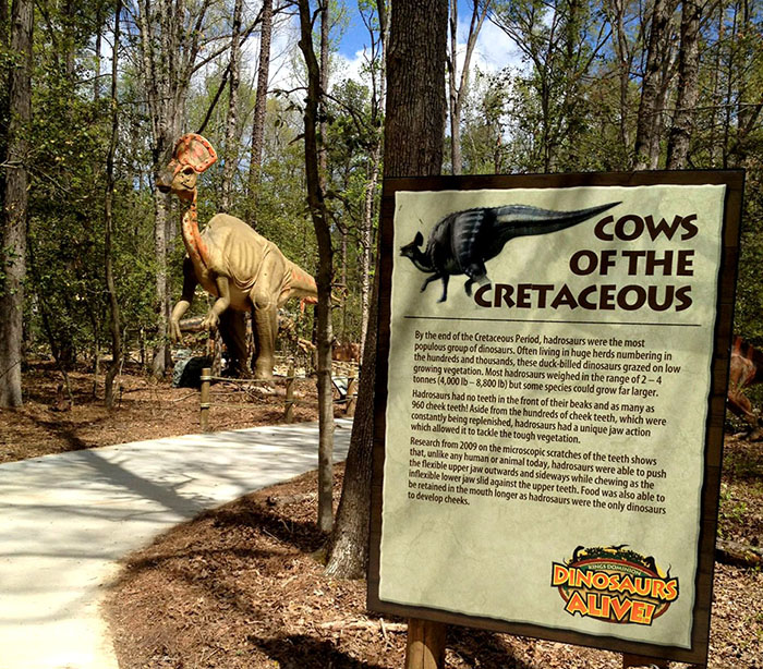 恐龙地质公园科普展览仿真机械恐龙――3米扇冠大天鹅龙模型