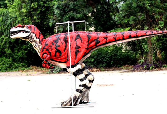 商场最受欢迎的互动游乐恐龙――5米暴龙皮套